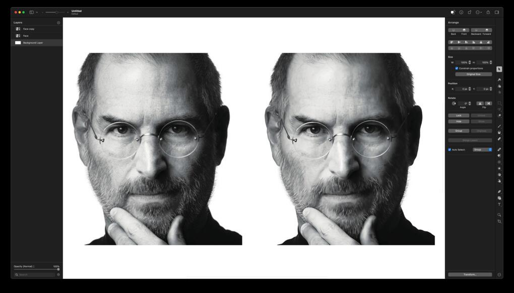 Steve Jobs Pixelmaker Pro